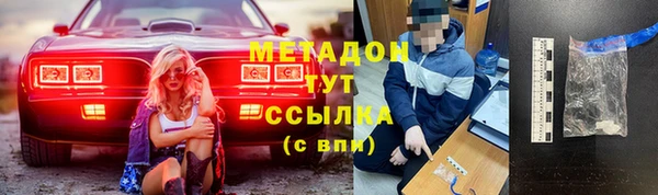прущие грибы Беломорск