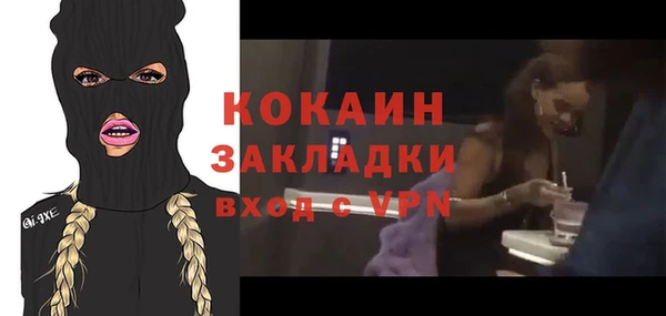 прущие грибы Беломорск