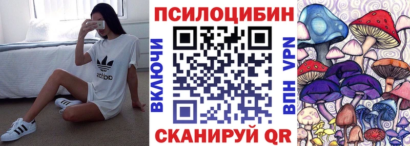 Галлюциногенные грибы Psilocybine cubensis  маркетплейс наркотические препараты  Отрадный 